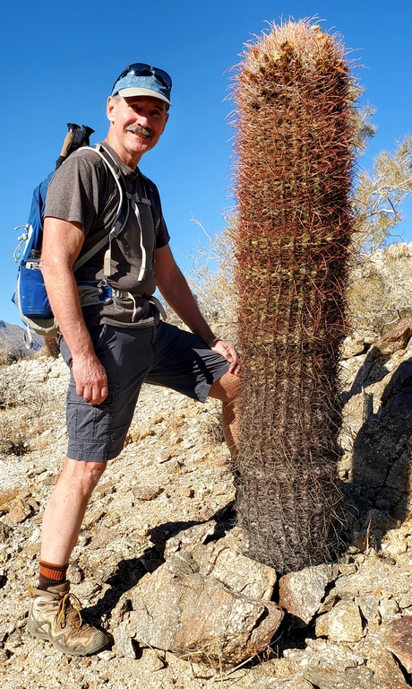 Barrel Cactus